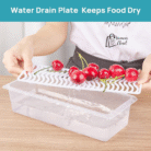 freezer storage container Water drain